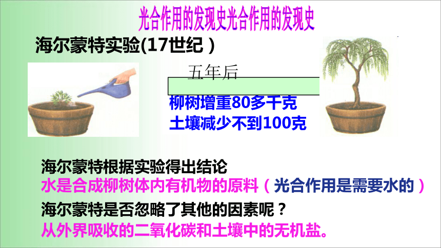 2021——2022学年人教版七年级生物上册3.5.1 光合作用吸收二氧化碳释放氧气 课件 (共20张PPT)