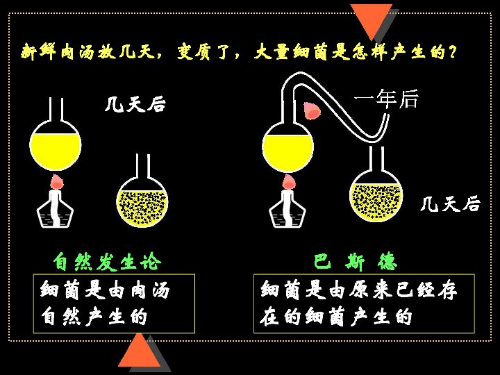 人教版八年级上册生物  5.4.2 细菌 课件  (30张PPT)