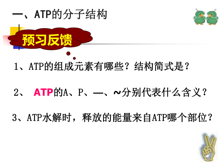 四川省古蔺县中学高中生物人教版必修一5-2细胞的能量“ 通货”ATP课件（17张PPT）