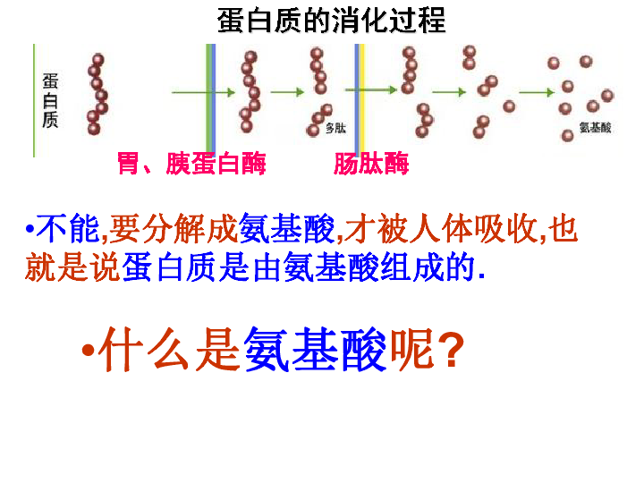 人教版生物必修122生命活动的主要承担者蛋白质26张