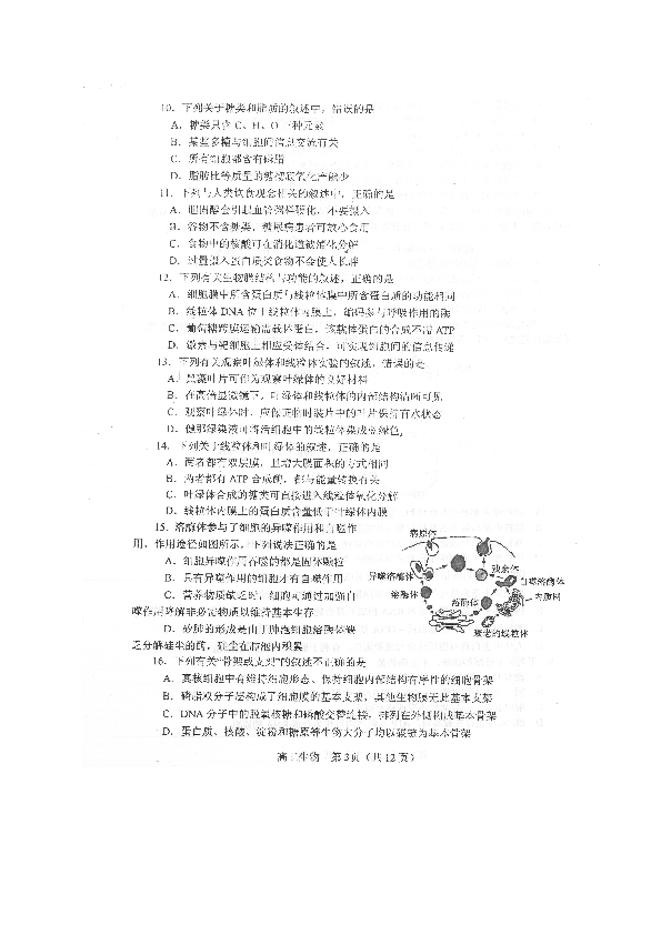 河南省南阳市2019-2020学年高二下学期期末考试生物试题 图片版