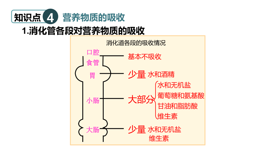 营养管和胃管的区别图片