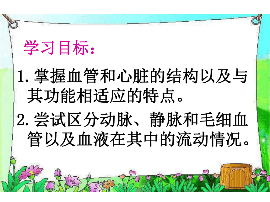 济南版七下第三单元第三章第二节物质运输的器官 课件（共30张PPT）