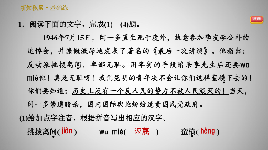 人教版八年级下册语文习题课件 13.最后一次讲演（24张ppt）