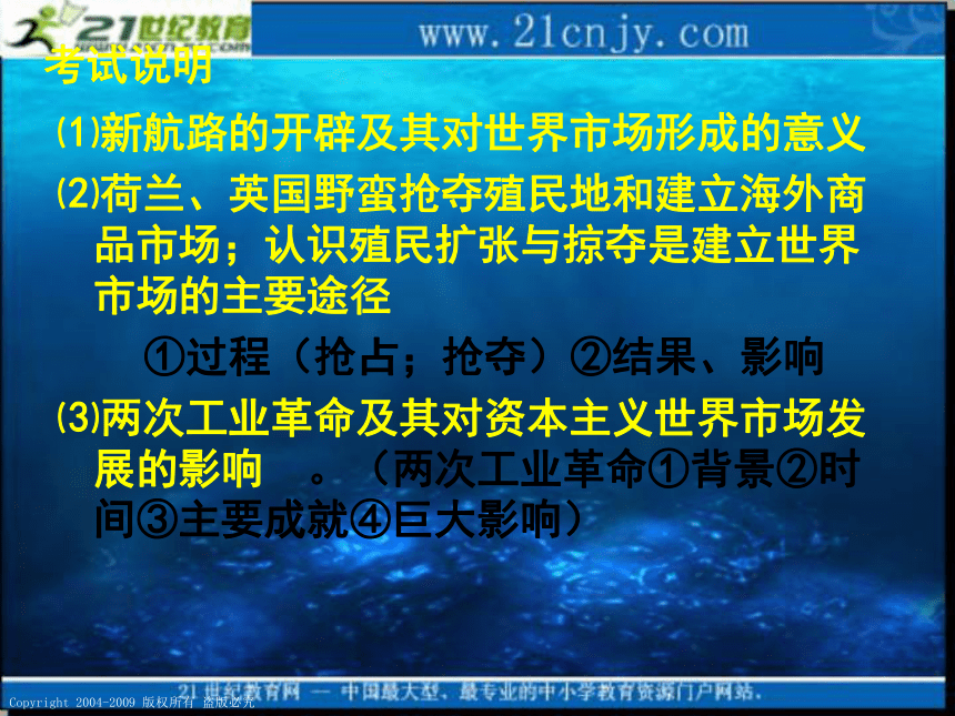 2010届高考历史专题复习系列43：《新航路开辟》