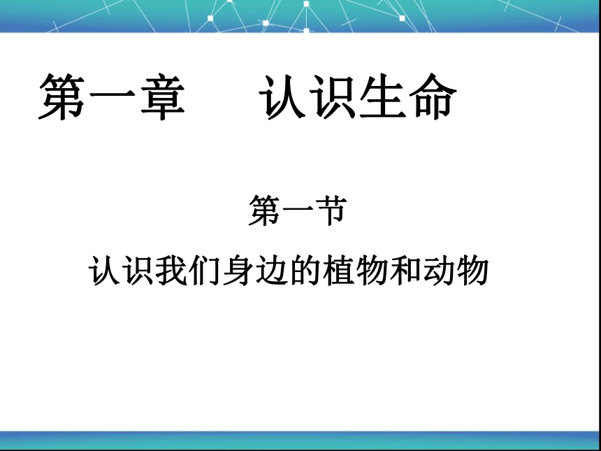 第一节 认识我们身边的植物和动物 课件