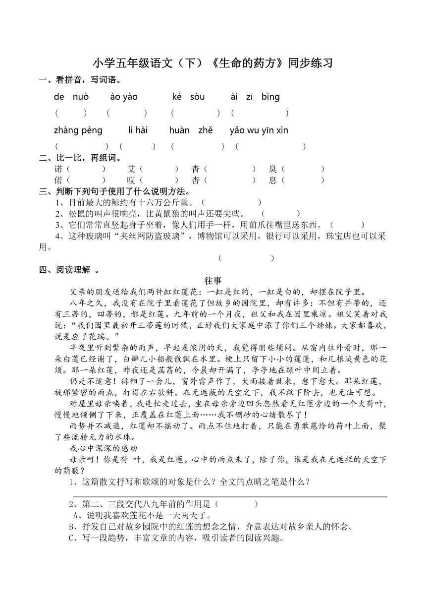 小学五年级语文（下）《生命的药方》同步练习  含答案