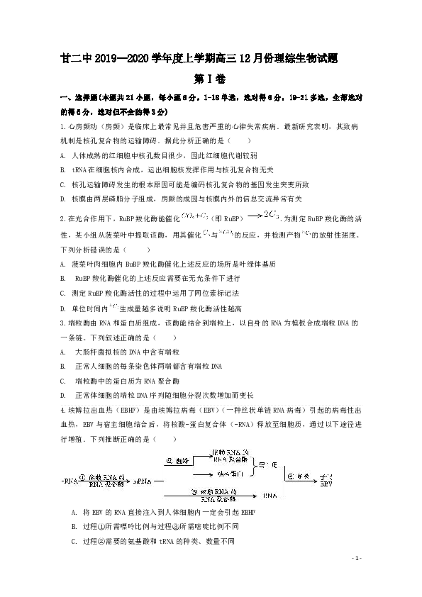 内蒙古通辽市科左后旗甘旗卡第二高级中学2020届高三12月月考生物试题