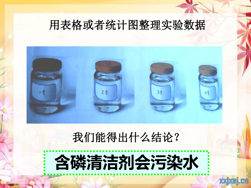 2.3清洁剂的“威力” 课件 (2)