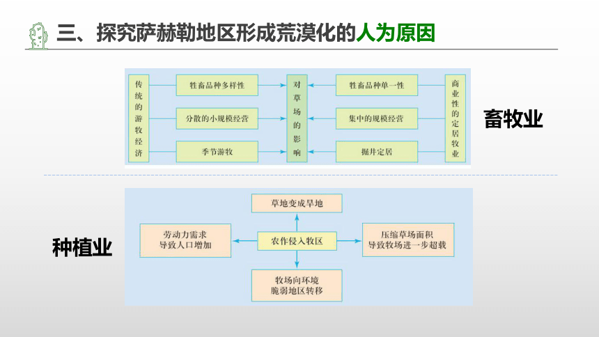 2.1荒漠化的防治——以西北地区为例课件（35张）