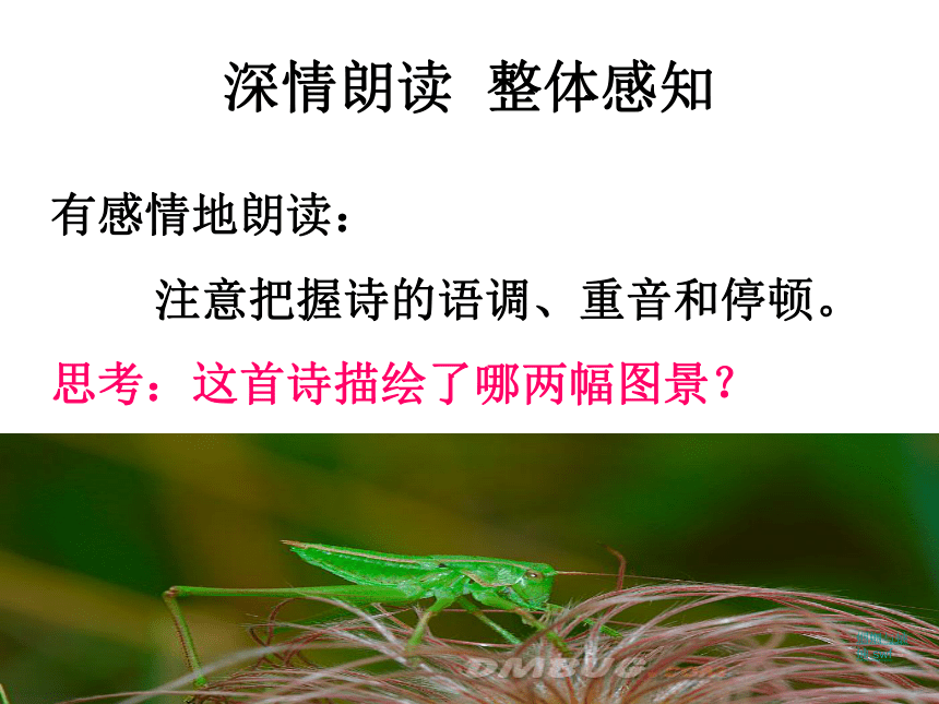 内蒙古鄂尔多斯康巴什新区第二中学人教版九年级语文上册课件：1-4外国诗两首（共17张PPT）