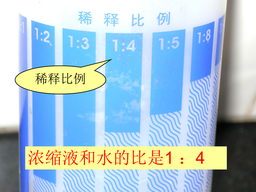 数学 六年级上人教版 4  比课件（15张）