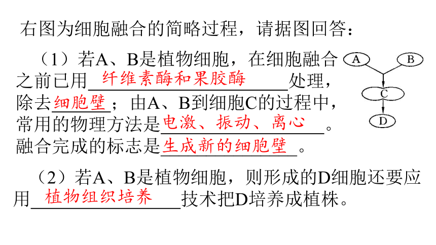 20202021學年高二下學期生物人教版選修3222動物細胞培養與單克隆抗體