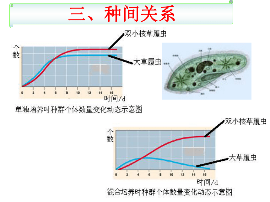 山东版高中生物必修三第二章群落的结构(公开课) （32张）