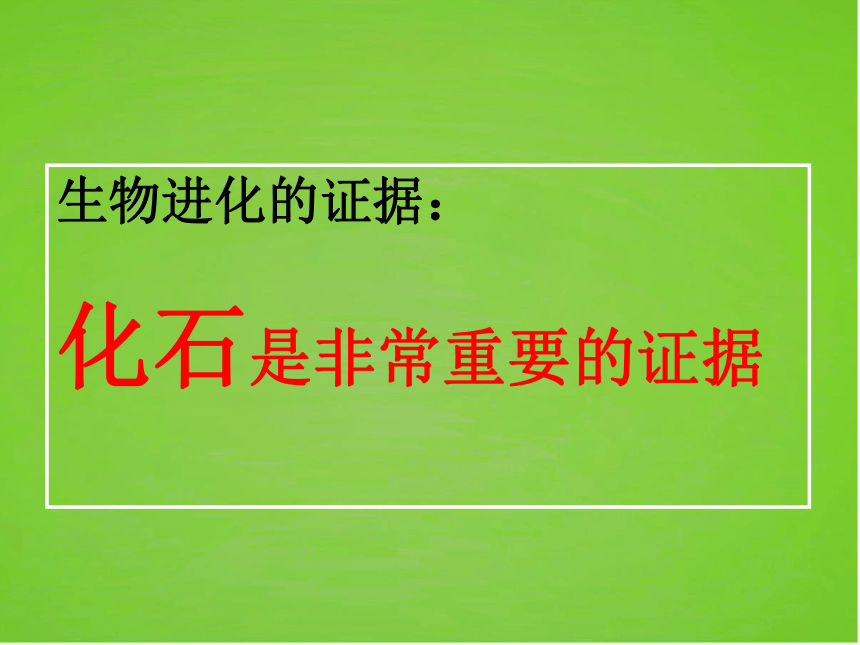 生命起源和生物进化课件（共38张ppt）