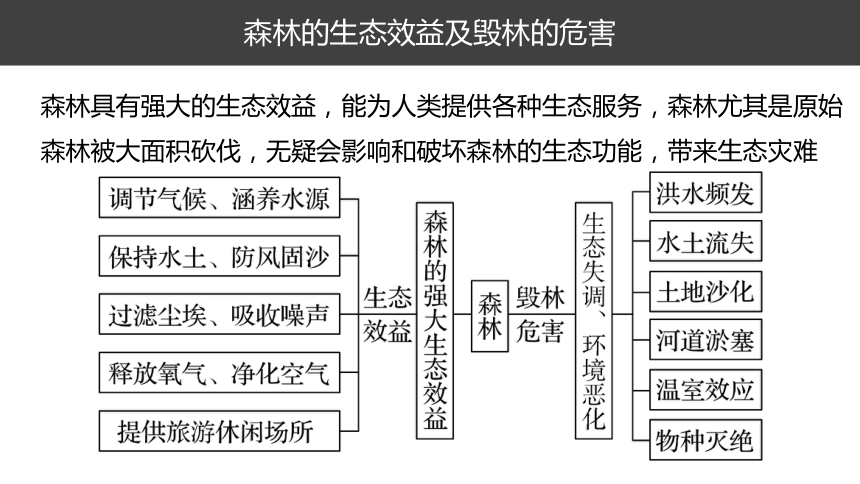 高考地理总复习 选修六环境保护 考点三生态环境保护 课件（27张PPT）