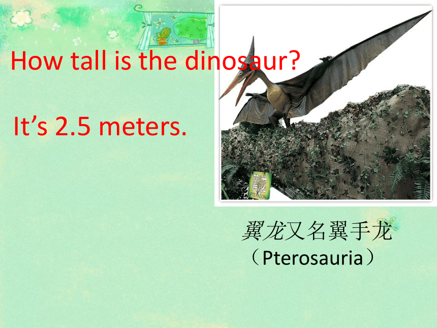 Unit 1 How tall are you? Part A let's talk 课件（18张ppt）