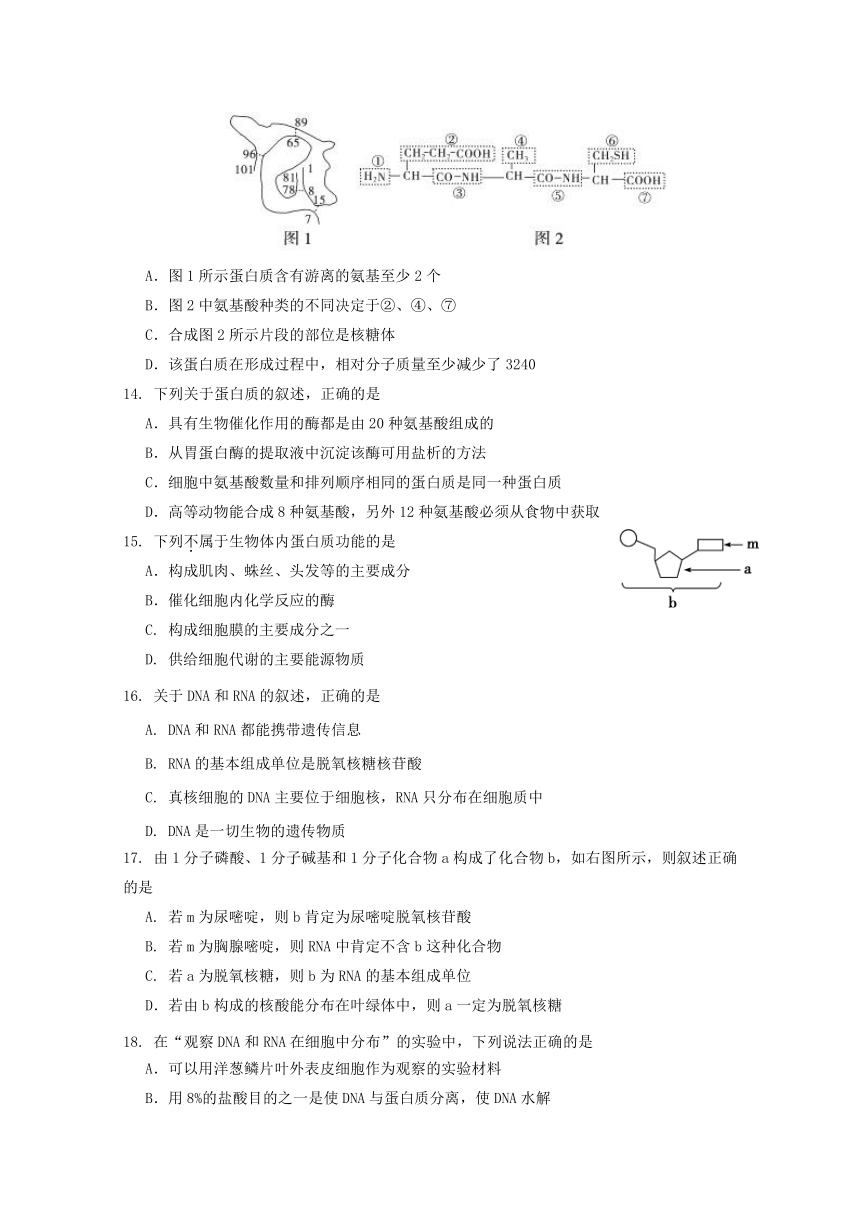 山西省运城市2017_2018学年高一生物上学期期中试题