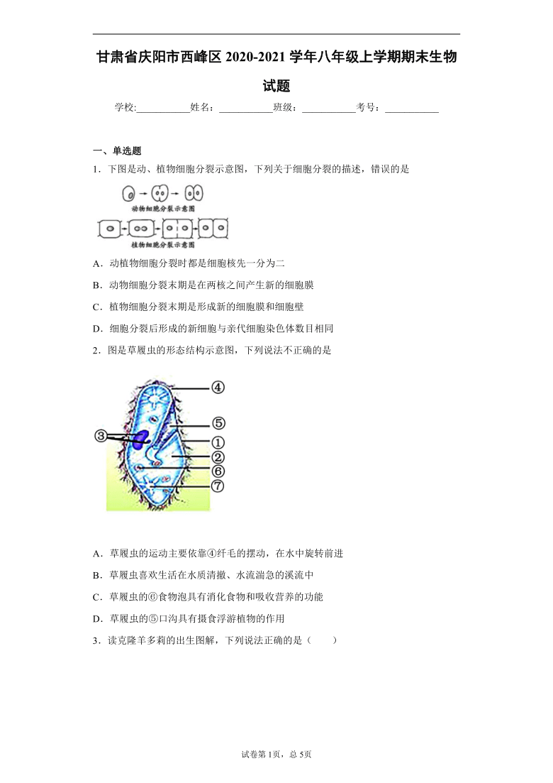 甘肃省庆阳市西峰区2020-2021学年八年级上学期期末生物试题(含答案解析)