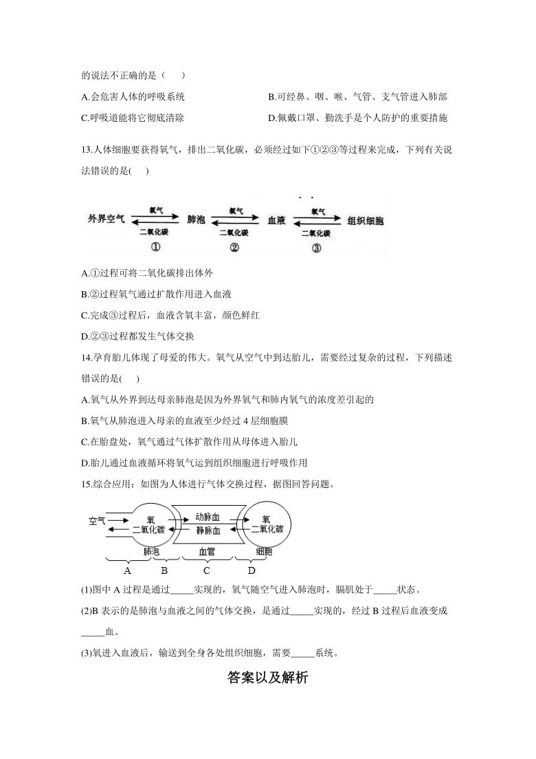 河南省郑州市2020-2021学年七年级下册生物第四单元第三章 人体的呼吸 （word版含答案）