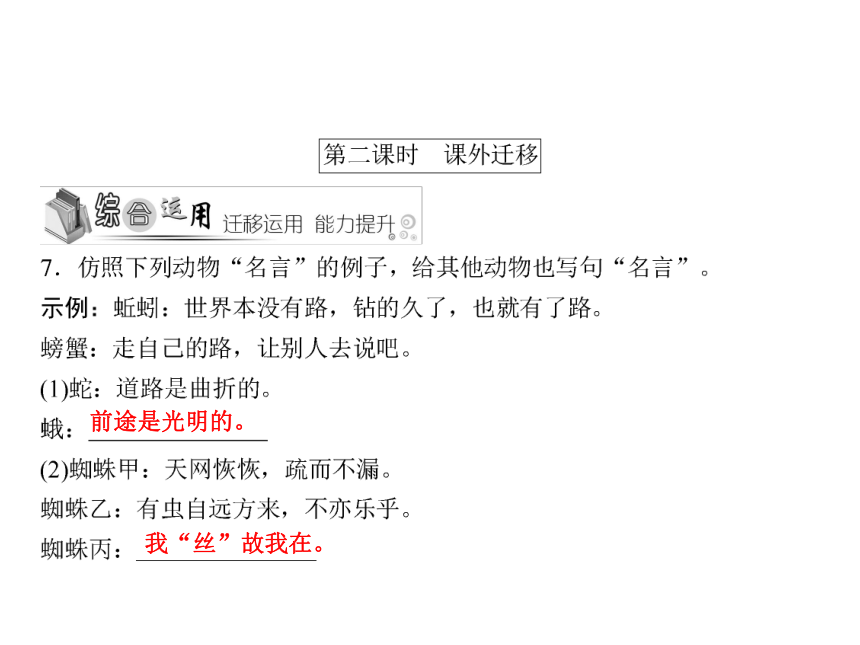 人教版八年级语文下册随堂训练课件：第3单元 14 大雁归来 (共16张PPT)