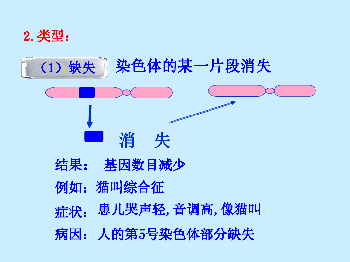 2018-2019学年高中人教版生物必修二课件：5.2 染色体变异(40张PPT)