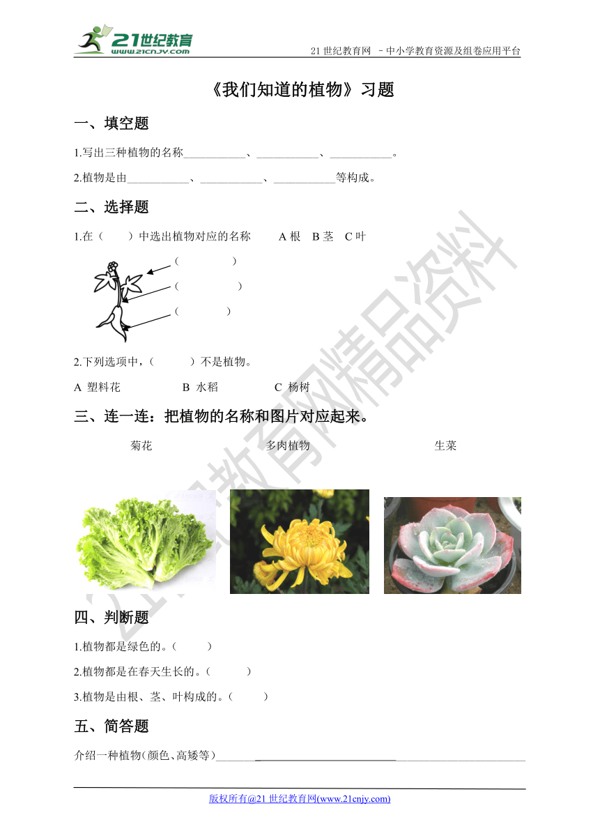 教科版一上第一单元第一课《我们知道的植物》同步练习