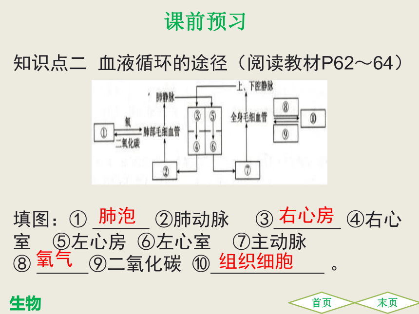 第四章 第三节输送血液的泵——心脏 课件（共30张PPT）