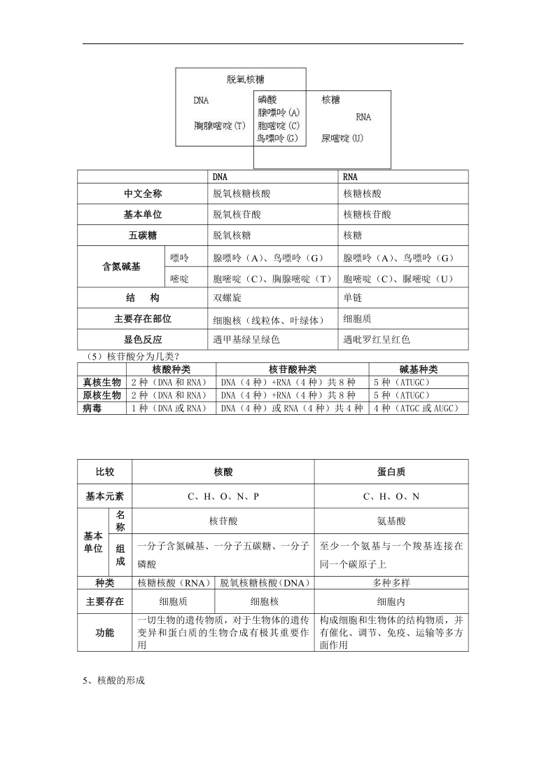 2021-2022学年高一上学期 人教版 必修一     2.3 遗传信息的携带者──核酸 教学设计-