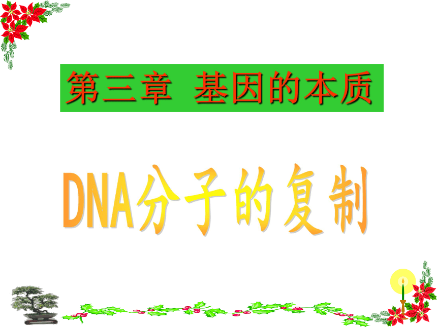 dna分子的复制