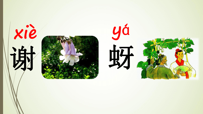 我要的是葫芦课件(共22张PPT)