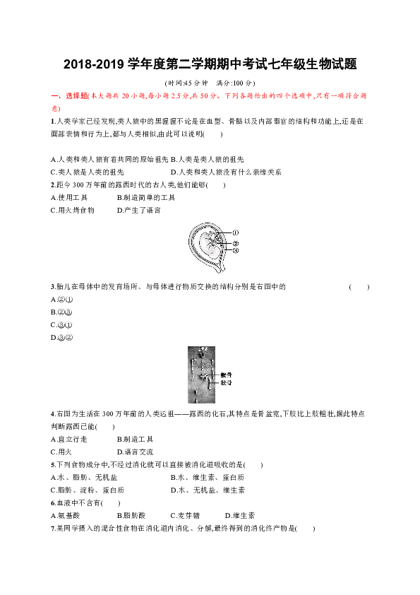 2018-2019学年度第二学期期中考试七年级生物试题(含解析）