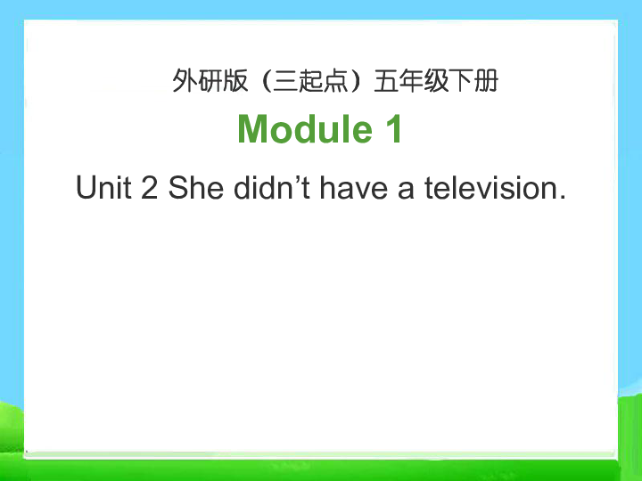 Unit 2 She didn't have a television 课件 (共24张PPT)