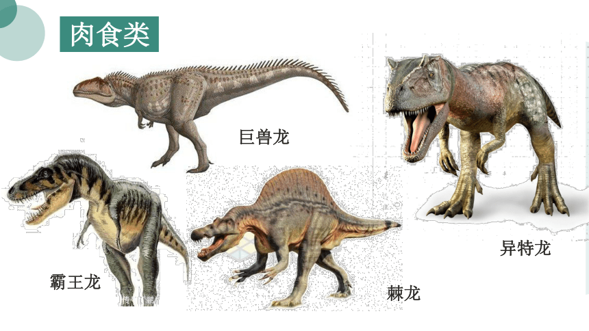 杂食性恐龙外形特征图片