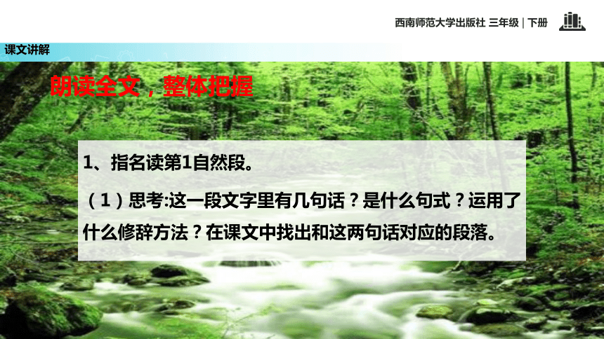 三月桃花水  (共21张PPT)