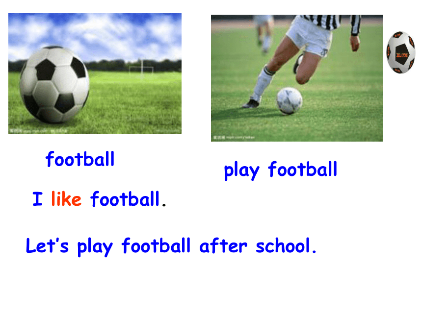 Starter Module 4 My everyday life Unit 3 What's your favourite sport?课件（20张PPT）