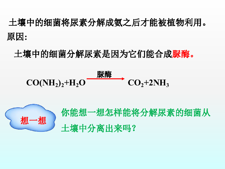 2020年春季学期高中生物人教选修1同步课件：专题2课题2土壤中分解尿素的细菌的分离与计数（共37张PPT）