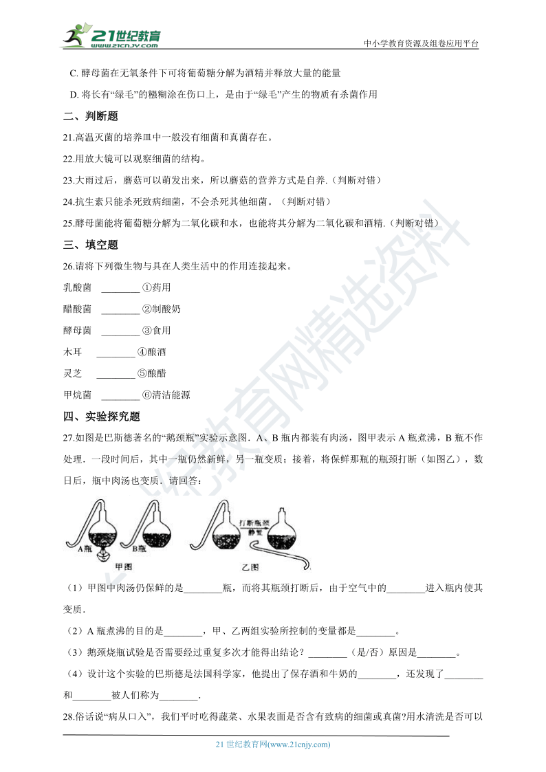 第四章 细菌和真菌 章末检测(含解析）