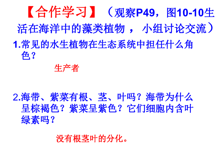 苏科版七年级下册生物 10.2水中的藻类植物 课件(22张PPT)