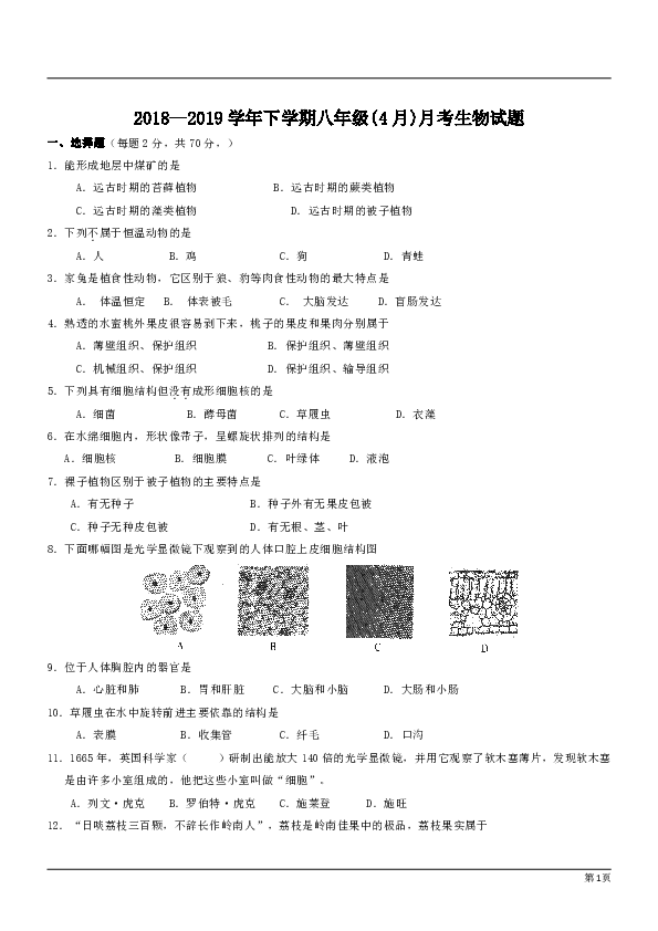 湖南省郴州市桂东县清泉镇中学2018--2019学年下学期八年级(4月)月考生物试题（有答案）
