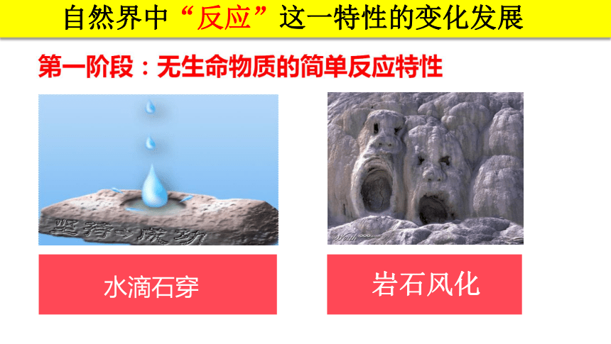 5.1意识的本质 课件-2021-2022学年高中政治人教版必修四生活与哲学(共35张PPT)