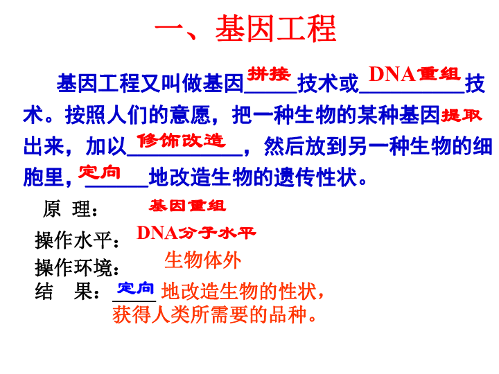 人教版高中生物必修二 6.2 基因工程（34张）
