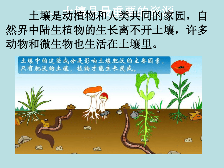 科学四年级下青岛版3.10保护土壤课件 （21张）