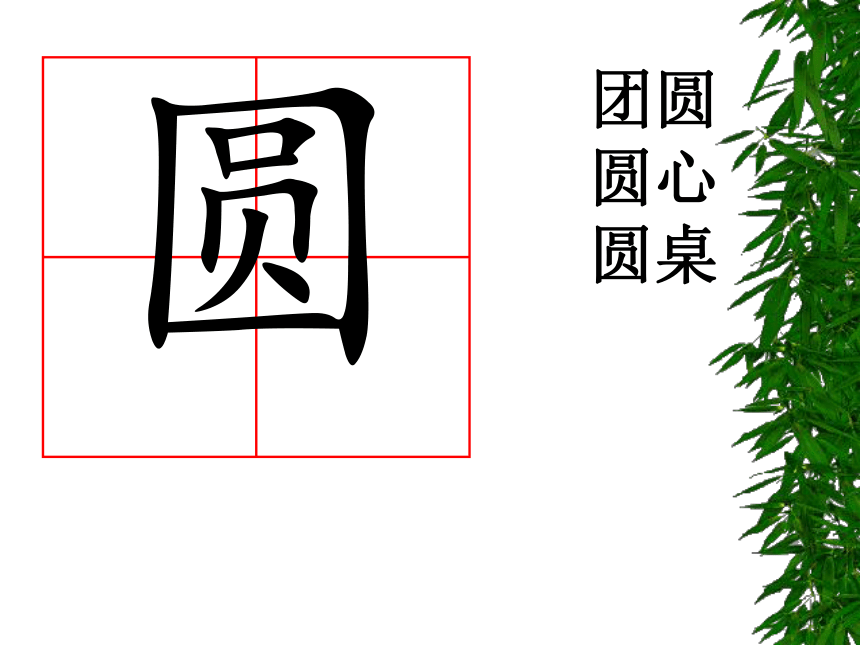 苏教版一年级下册《17团团和圆圆》课件