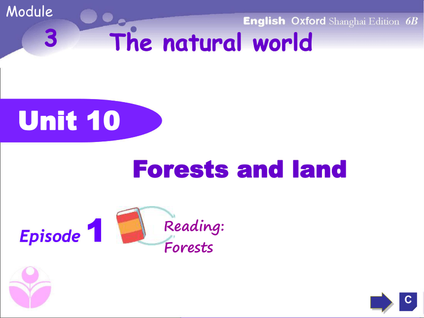 Unit 10 Forests and land 第一课时课件