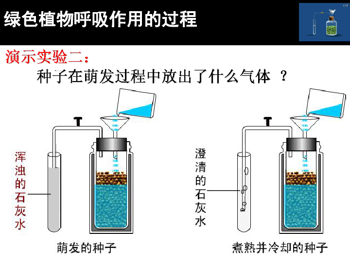 人教版七年级生物上册3.5.2绿色植物的呼吸作用 课件(共22张PPT)