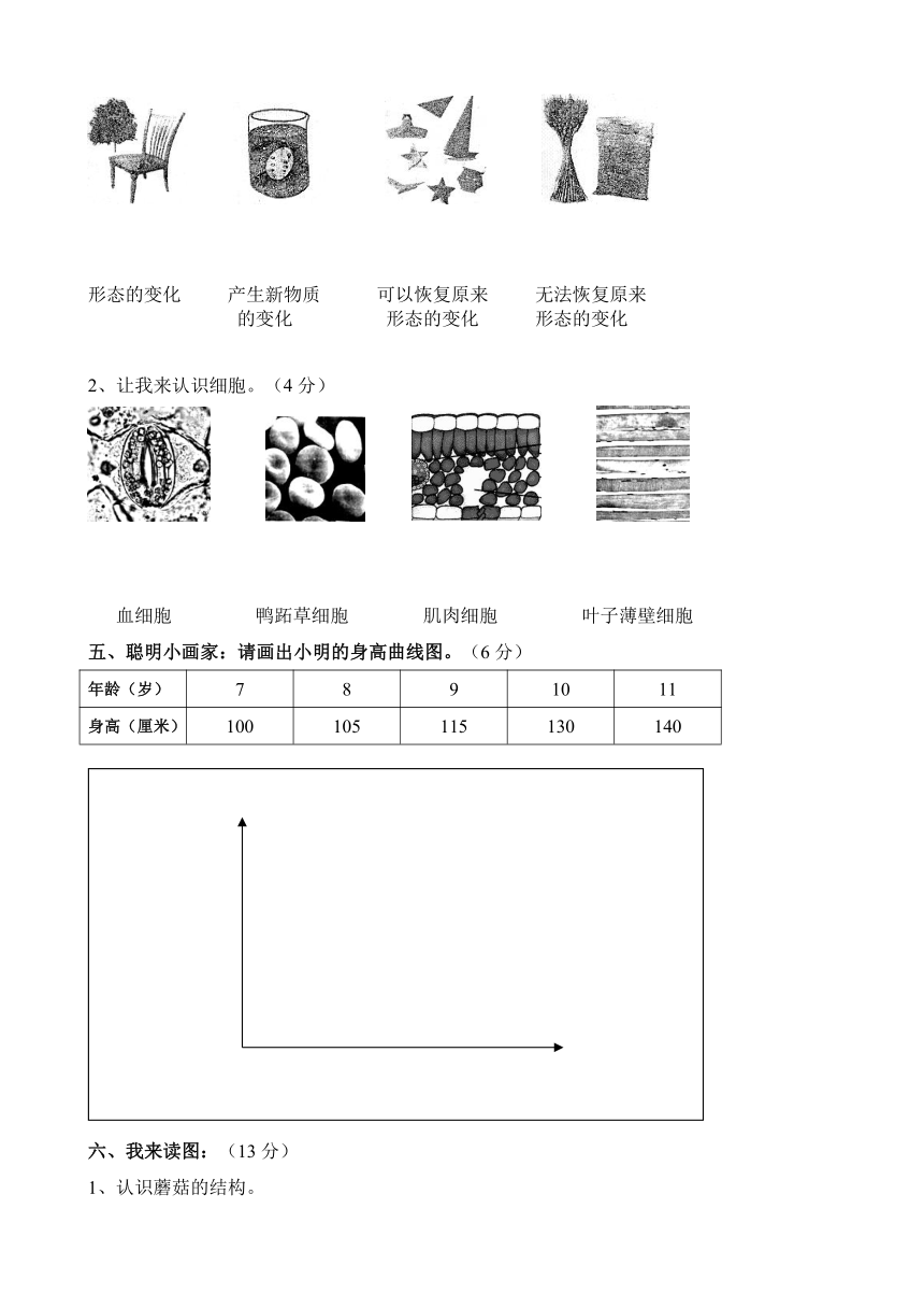 2017——2018学年科学六年级上青岛版期中试题（含答案）