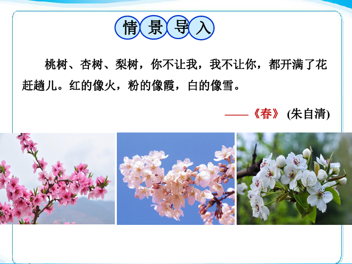 《开花和结果》课件(共38张PPT)