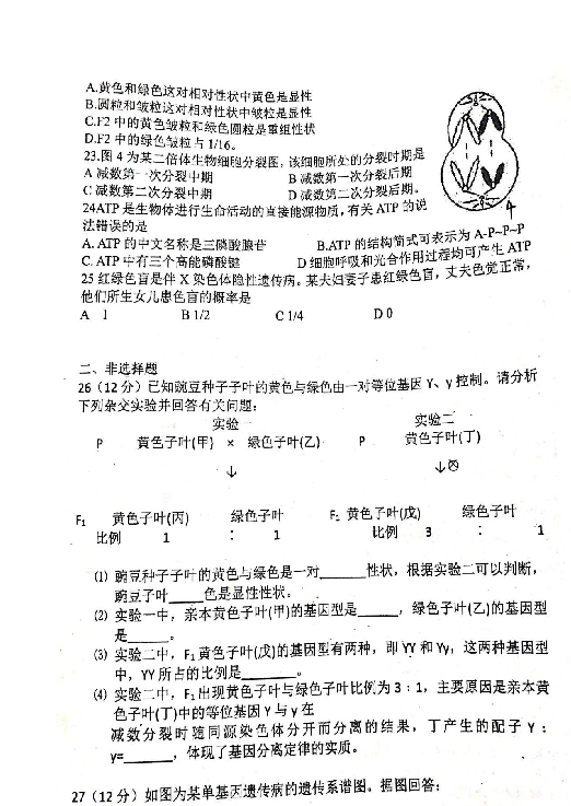 湖南省衡阳县第四中学2018-2019学年高一下学期期中考试生物试题（平行班） 扫描版含答案