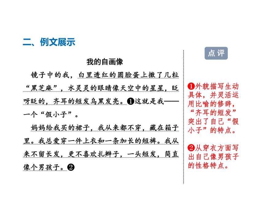 苏教版第七单元习作+练习7课件（ppt15张）